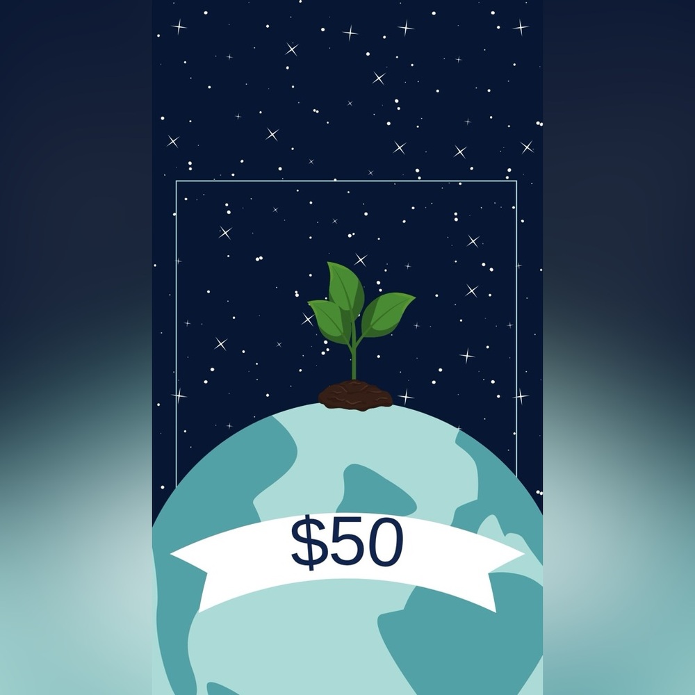 $50 Unlisted Item - image 1